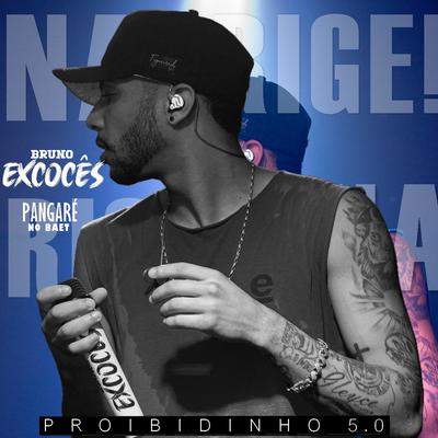 Vou Botar Novinha By BRUNO EXCOCÊS, Pangare no beat's cover