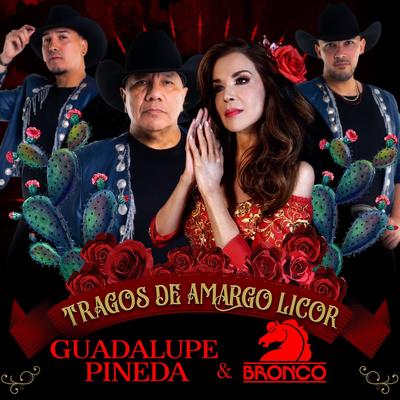 Tragos de Amargo Licor's cover