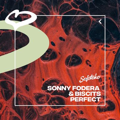 Perfect By Sonny Fodera, Biscits's cover