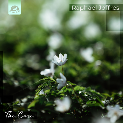 The Cure By Raphael Joffres's cover