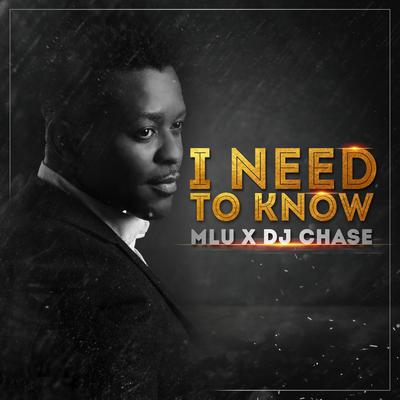 I Need to Know (feat. DJ Chase) By DJ Chase, Mlu's cover