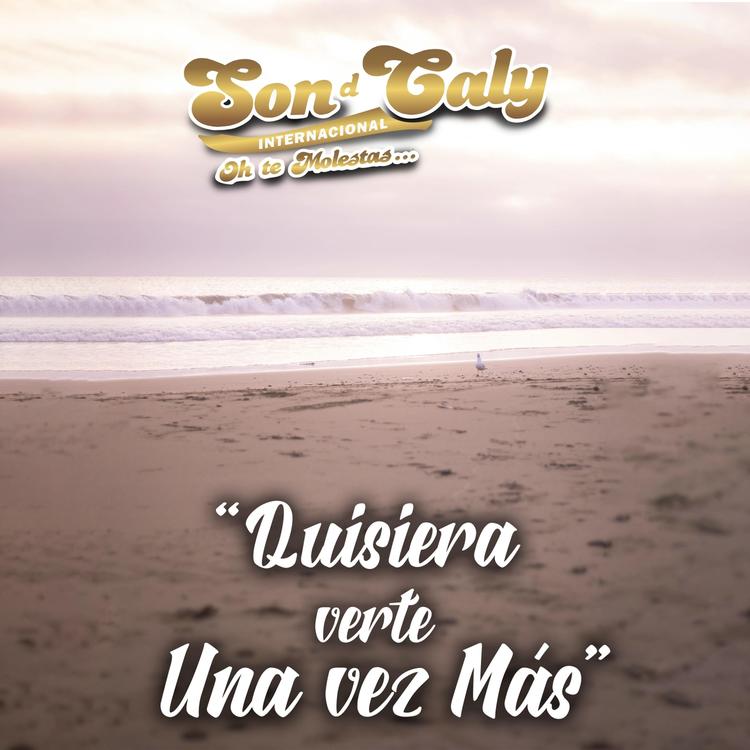 Son D' Caly Internacional's avatar image