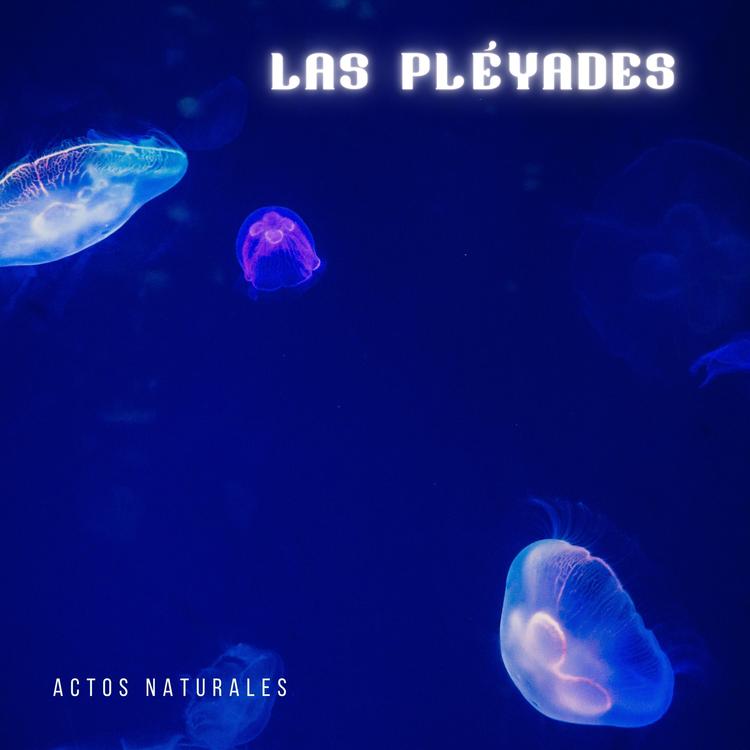 Las Pléyades's avatar image