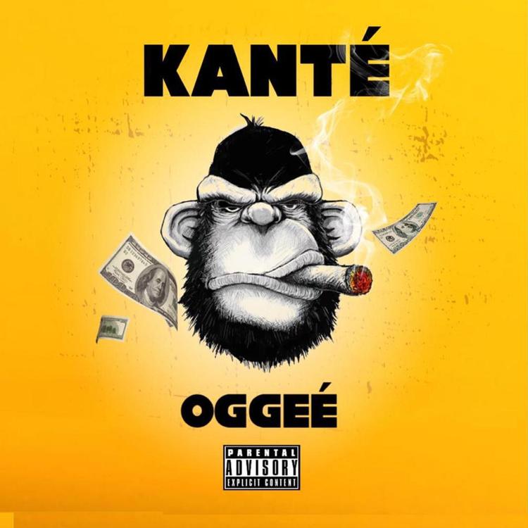 OGGee's avatar image