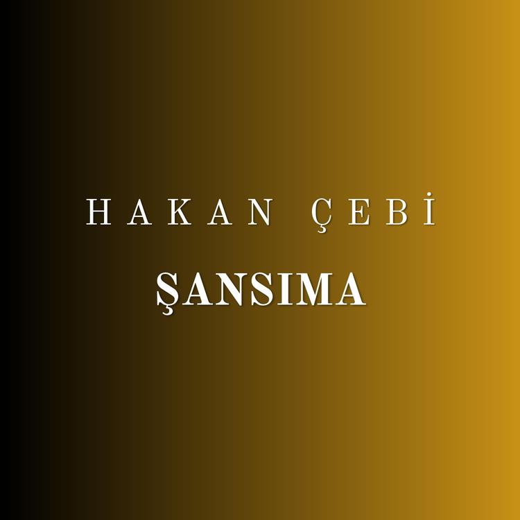 Hakan Çebi's avatar image