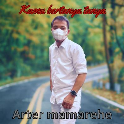 Arter mamarehe's cover