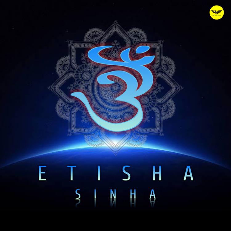 Etisha Sinha's avatar image