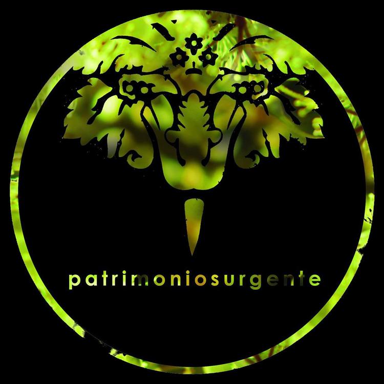 Patrimoniosurgente's avatar image