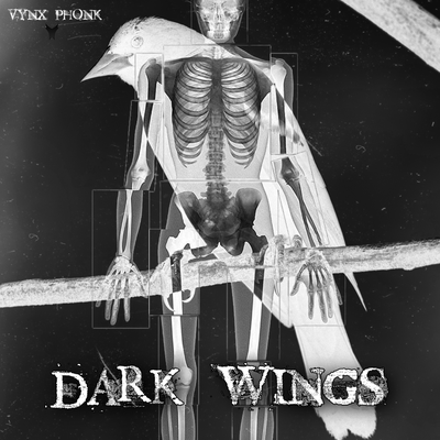 Dark Wings By VYNX PHONK's cover