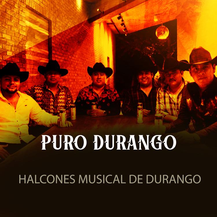 Halcones Musical De Durango's avatar image