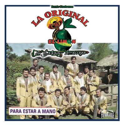 La Chica Fresa By La Original Banda El Limón de Salvador Lizárraga's cover