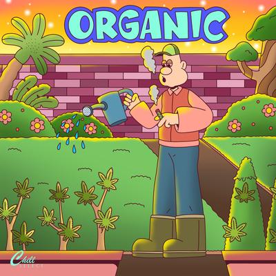 Organic By Ol Wallace, chill.exe, Chill Select's cover