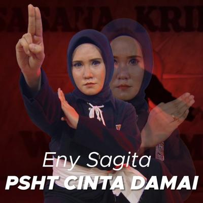 Psht Cinta Damai's cover