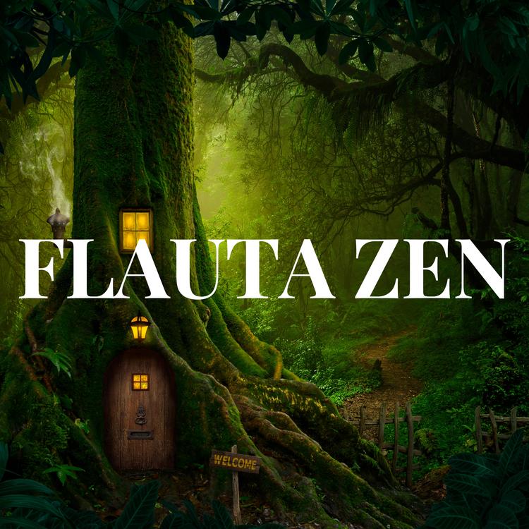 MUSICA ZEN DE FLAUTA's avatar image