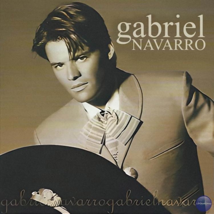 Gabriel Navarro's avatar image