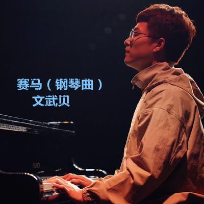 上海滩 (钢琴曲) By 文武贝's cover