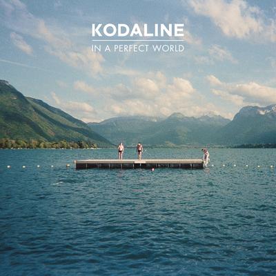 In A Perfect World (Expanded Edition)'s cover