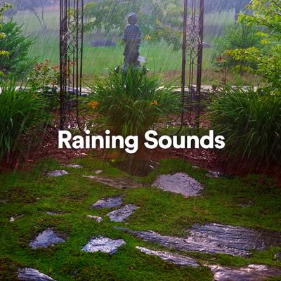 Raining Sounds's cover