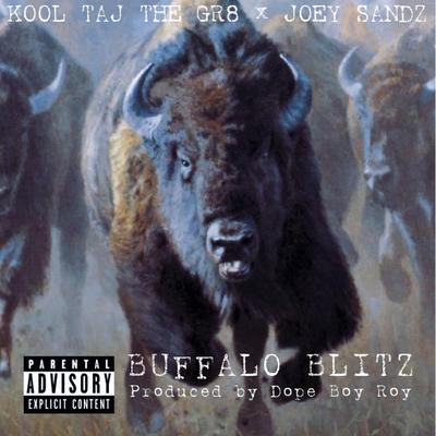 Buffalo Blitz's cover