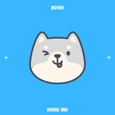 kishu inu By Boshi's cover