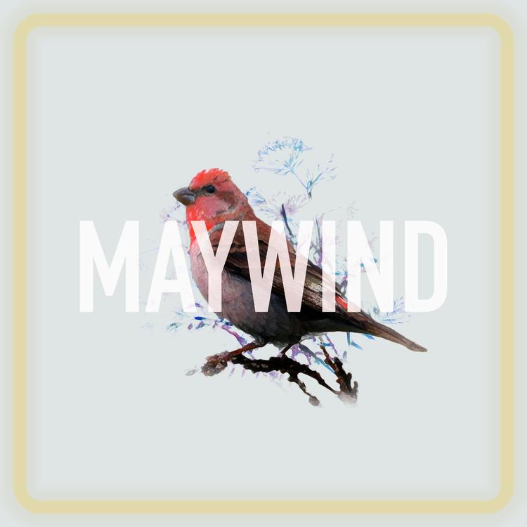 Maywind's avatar image