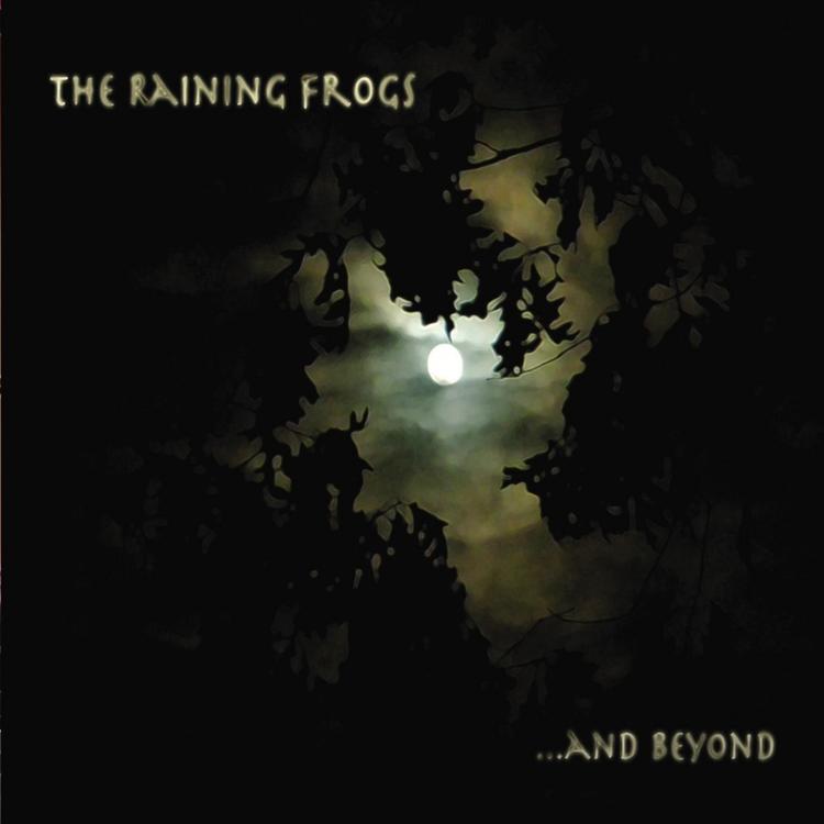 The Raining Frogs's avatar image