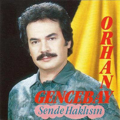 Sen De Haklısın's cover