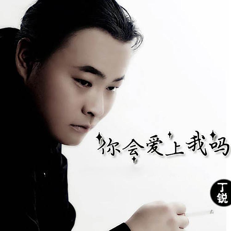 丁锐's avatar image