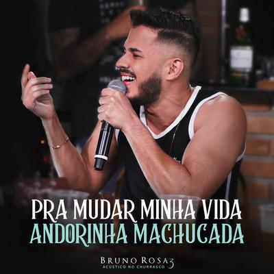 Pra Mudar Minha Vida / Andorinha Machucada (Acústico no Churrasco 3) (Ao Vivo) By Bruno Rosa's cover