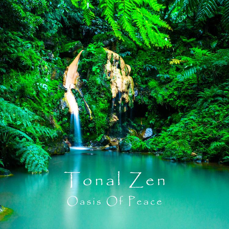 Tonal Zen's avatar image