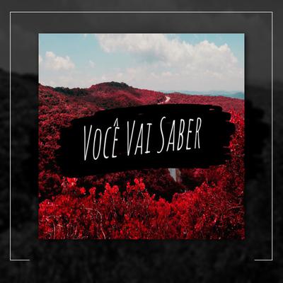 Você Vai Saber's cover