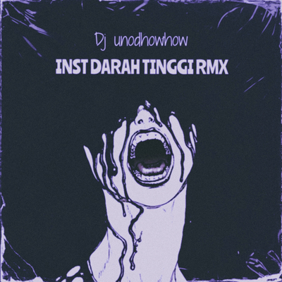 INST DARAH TINGGI RMX (Remix)'s cover
