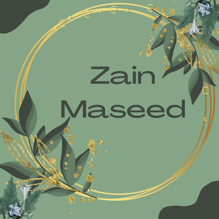 Zain Maseed's avatar image