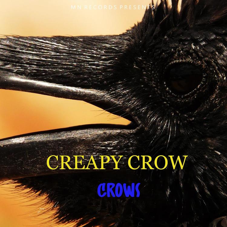 Creapy Crow's avatar image