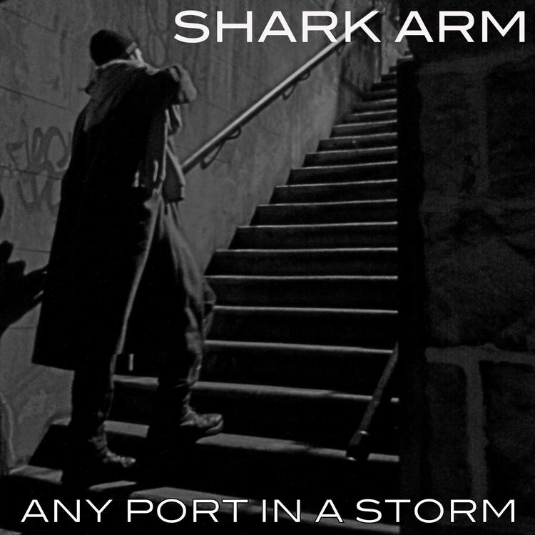 SharkArm's avatar image