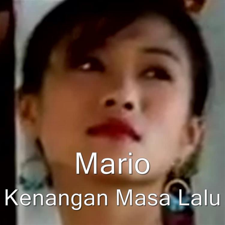 Mario's avatar image