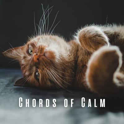 Chords of Calm: Piano Melodies for Cats' Relaxation's cover