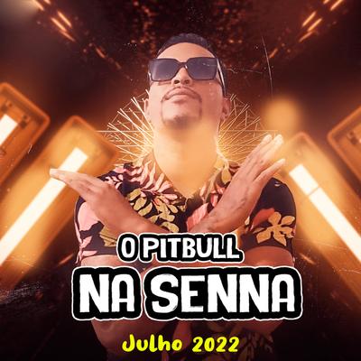 Toma Sua Safada (feat. Bandida Dos Paredões) (feat. Bandida Dos Paredões) By O Pitbull na Senna, Bandida Dos Paredões's cover