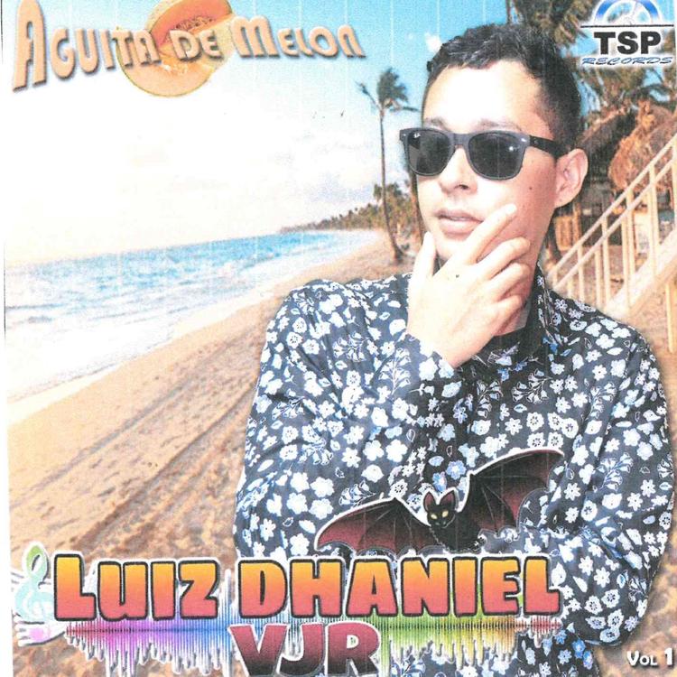 Luiz Dhaniel VJR's avatar image