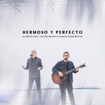 Hermoso y Perfecto (En Vivo)'s cover
