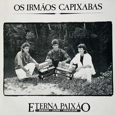 Brincando Com o Teclado By Irmãos Capixaba's cover