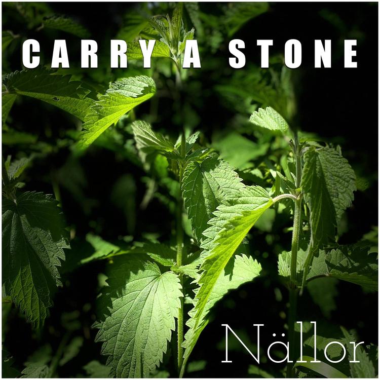 Carry a Stone's avatar image