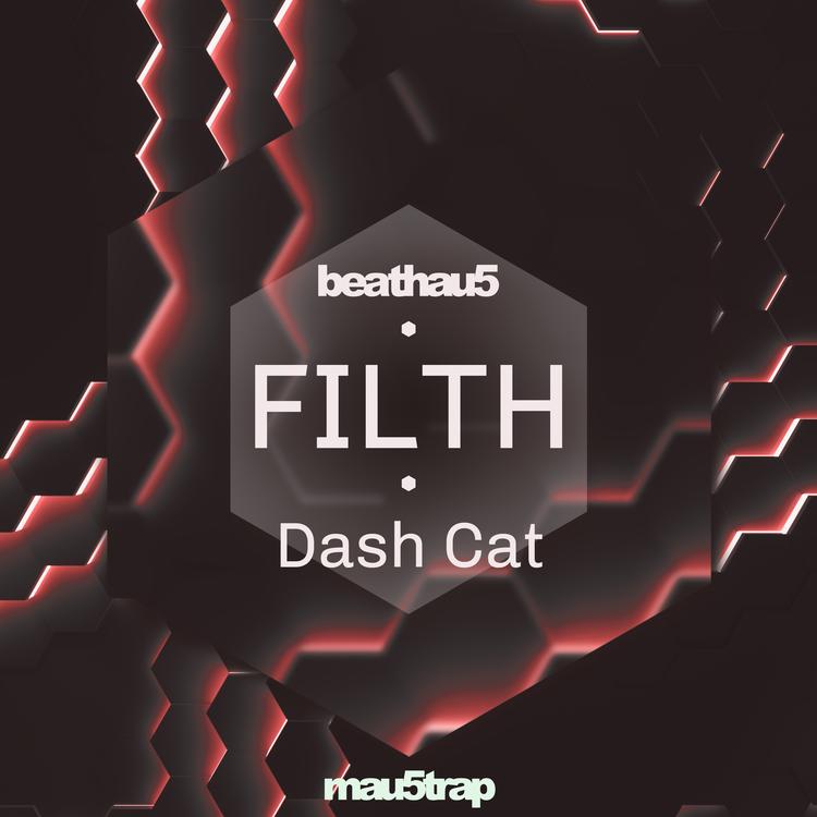 Dash Cat's avatar image