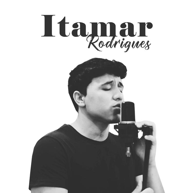 Itamar Rodrigues's avatar image