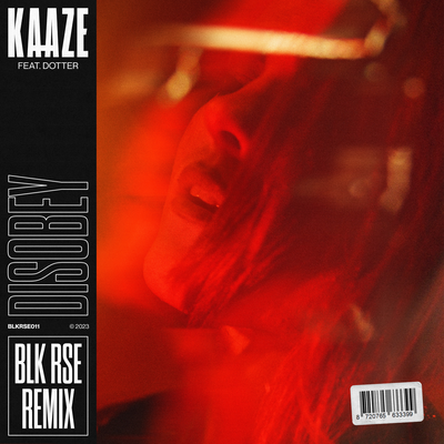 Disobey (BLK RSE Remix) By KAAZE, Dotter's cover