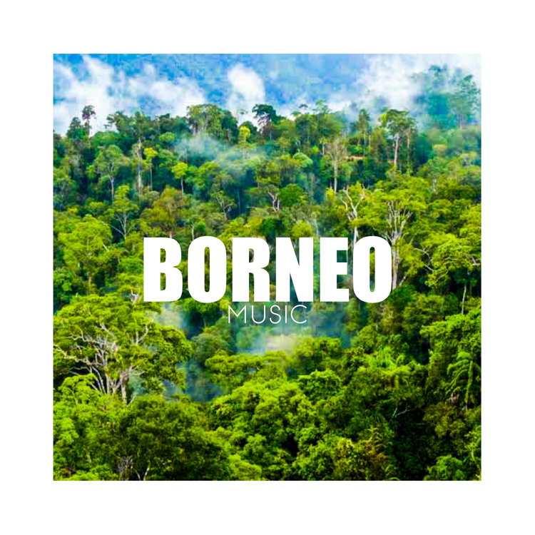 Borneo Music's avatar image