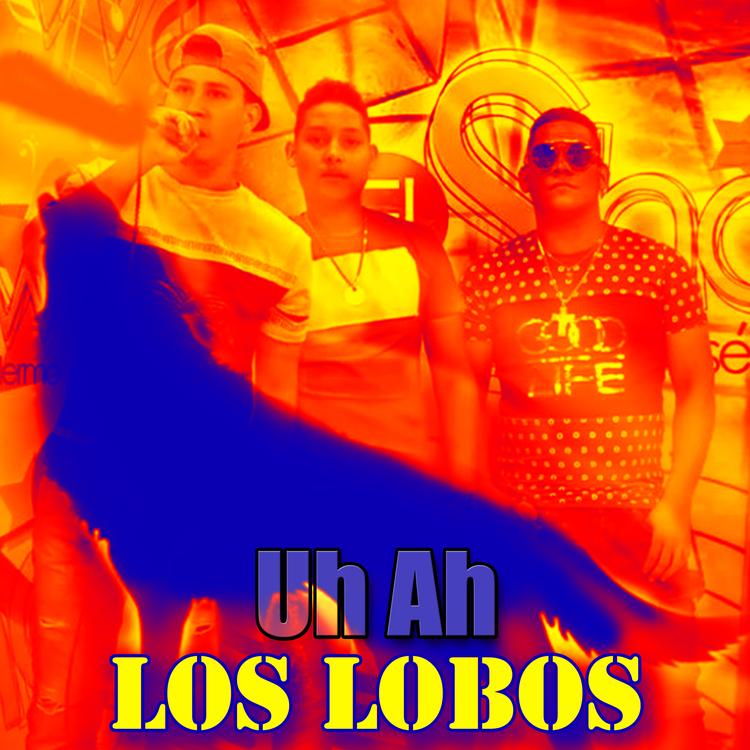 Los Lobos's avatar image