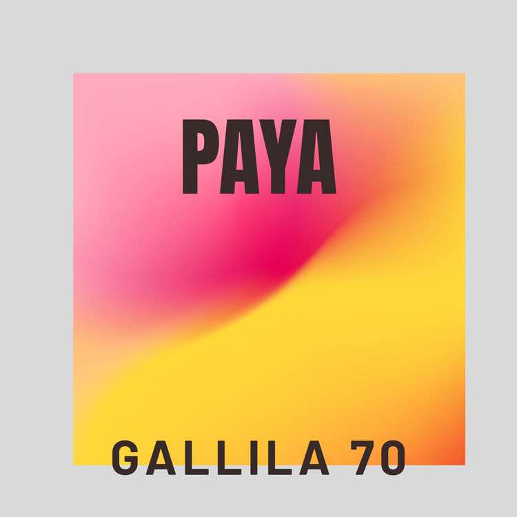 Gallila70's avatar image