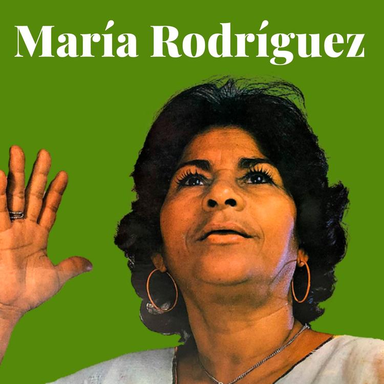 Maria Rodriguez's avatar image