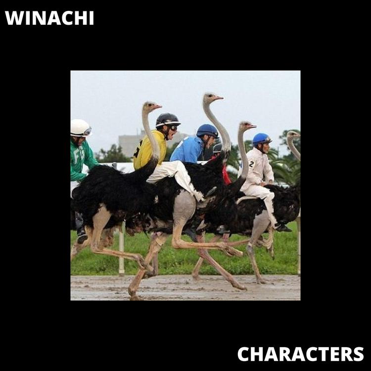 WINACHI's avatar image